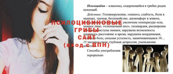 первитин Надым