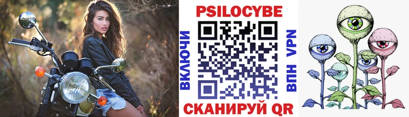 Галлюциногенные грибы GOLDEN TEACHER  Купить закладки  Киселёвск 